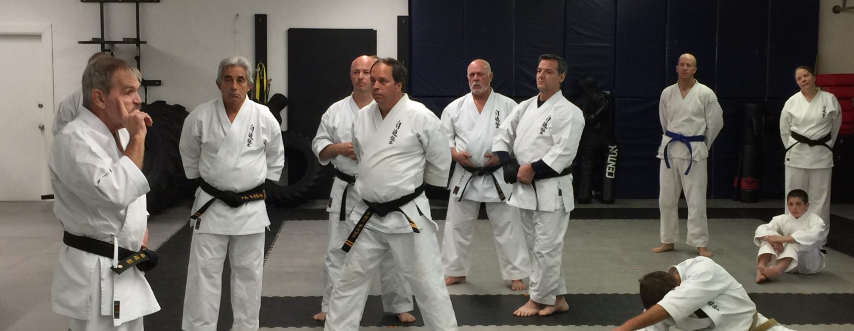 Uechi Ryu, Karate, self defense