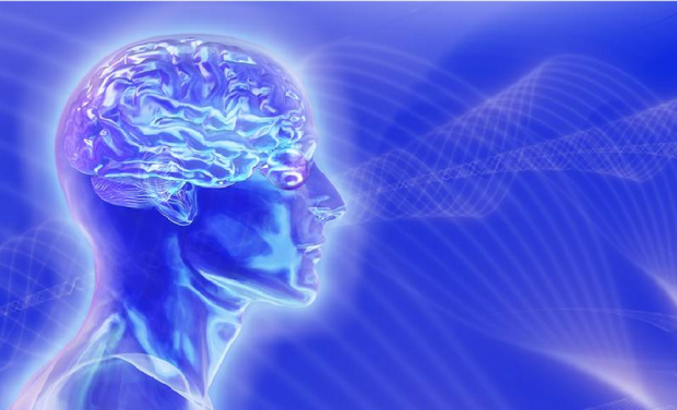 Martial arts brain training